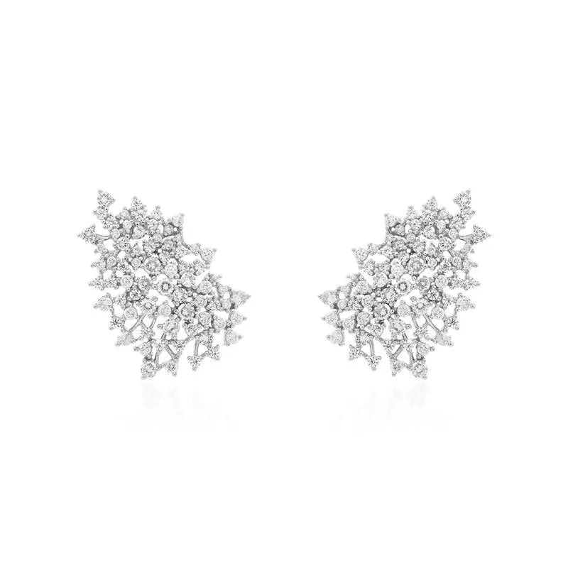 Orecchini Argento 925 Explosion